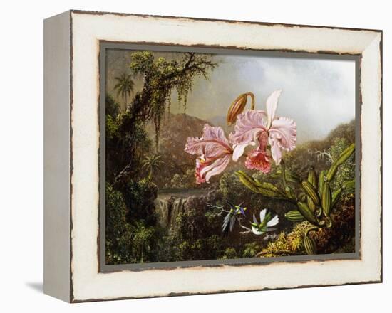 Orchids and Hummingbirds in a Brazilian Jungle, C. 1871-72-Martin Johnson Heade-Framed Premier Image Canvas