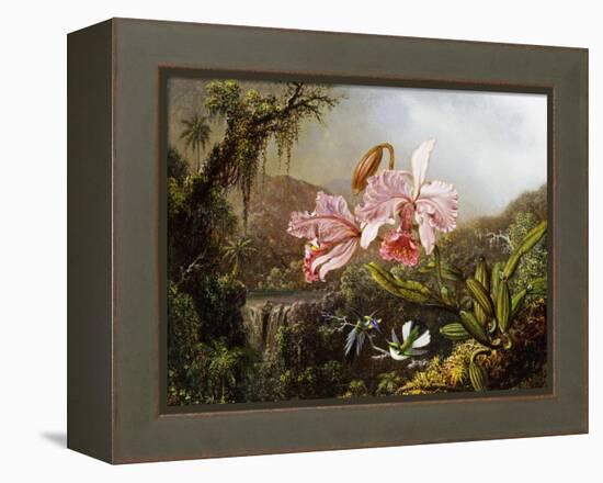 Orchids and Hummingbirds in a Brazilian Jungle, C. 1871-72-Martin Johnson Heade-Framed Premier Image Canvas