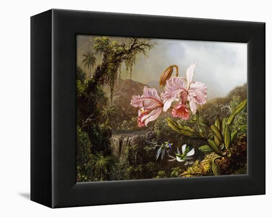 Orchids and Hummingbirds in a Brazilian Jungle, C. 1871-72-Martin Johnson Heade-Framed Premier Image Canvas