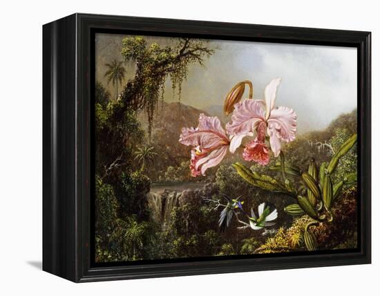 Orchids and Hummingbirds in a Brazilian Jungle, C. 1871-72-Martin Johnson Heade-Framed Premier Image Canvas