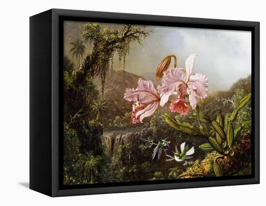 Orchids and Hummingbirds in a Brazilian Jungle, C. 1871-72-Martin Johnson Heade-Framed Premier Image Canvas