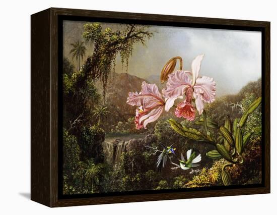 Orchids and Hummingbirds in a Brazilian Jungle, C. 1871-72-Martin Johnson Heade-Framed Premier Image Canvas