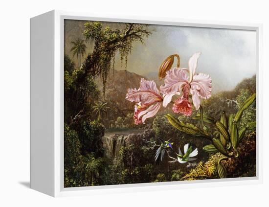 Orchids and Hummingbirds in a Brazilian Jungle, C. 1871-72-Martin Johnson Heade-Framed Premier Image Canvas