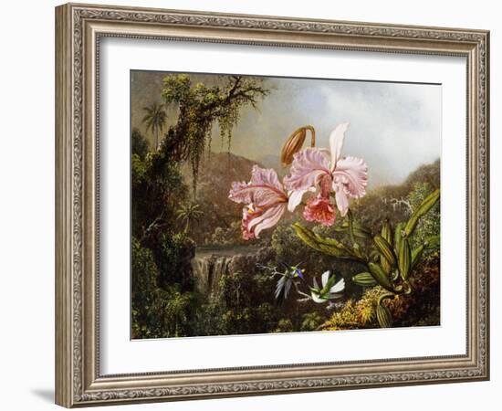 Orchids and Hummingbirds in a Brazilian Jungle, C. 1871-72-Martin Johnson Heade-Framed Giclee Print