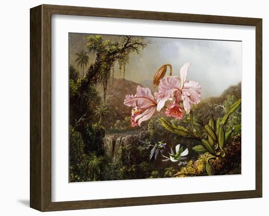 Orchids and Hummingbirds in a Brazilian Jungle, C. 1871-72-Martin Johnson Heade-Framed Giclee Print