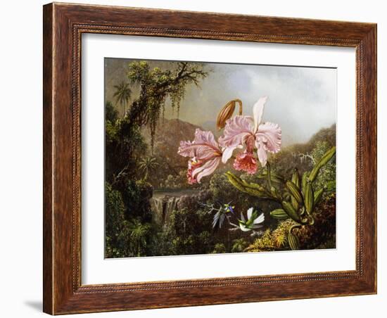 Orchids and Hummingbirds in a Brazilian Jungle, C. 1871-72-Martin Johnson Heade-Framed Giclee Print