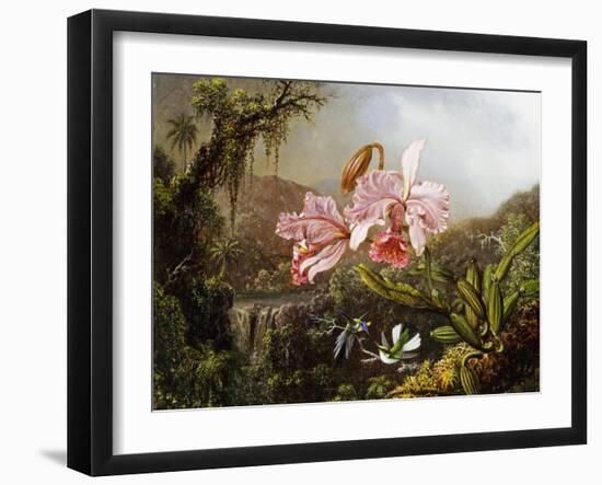 Orchids and Hummingbirds in a Brazilian Jungle, C. 1871-72-Martin Johnson Heade-Framed Giclee Print