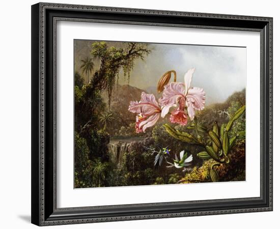 Orchids and Hummingbirds in a Brazilian Jungle, C. 1871-72-Martin Johnson Heade-Framed Giclee Print