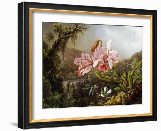 Orchids and Hummingbirds in a Brazilian Jungle, C. 1871-72-Martin Johnson Heade-Framed Giclee Print