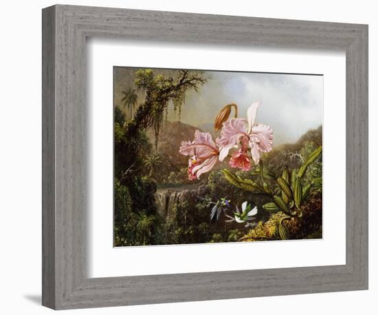 Orchids and Hummingbirds in a Brazilian Jungle, C. 1871-72-Martin Johnson Heade-Framed Giclee Print