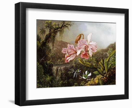 Orchids and Hummingbirds in a Brazilian Jungle, C. 1871-72-Martin Johnson Heade-Framed Giclee Print