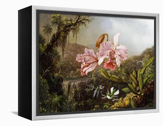 Orchids and Hummingbirds in a Brazilian Jungle-Martin Johnson Heade-Framed Premier Image Canvas