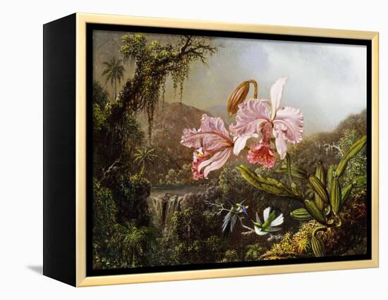 Orchids and Hummingbirds in a Brazilian Jungle-Martin Johnson Heade-Framed Premier Image Canvas