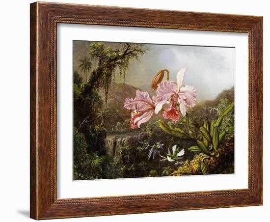 Orchids and Hummingbirds in a Brazilian Jungle-Martin Johnson Heade-Framed Giclee Print