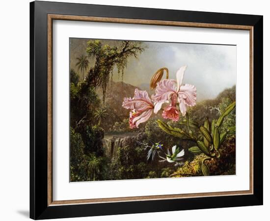 Orchids and Hummingbirds in a Brazilian Jungle-Martin Johnson Heade-Framed Giclee Print