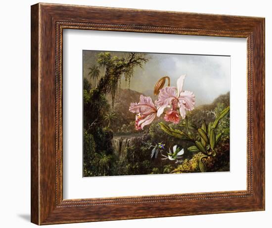 Orchids and Hummingbirds in a Brazilian Jungle-Martin Johnson Heade-Framed Giclee Print