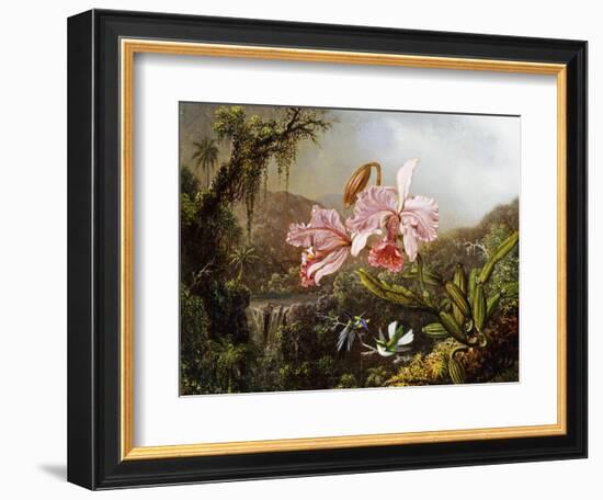 Orchids and Hummingbirds in a Brazilian Jungle-Martin Johnson Heade-Framed Giclee Print