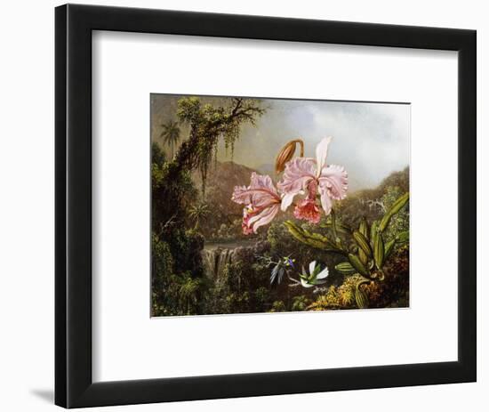 Orchids and Hummingbirds in a Brazilian Jungle-Martin Johnson Heade-Framed Premium Giclee Print
