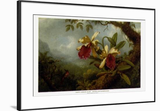 Orchids and Hummingbirds-Martin Johnson Heade-Framed Art Print
