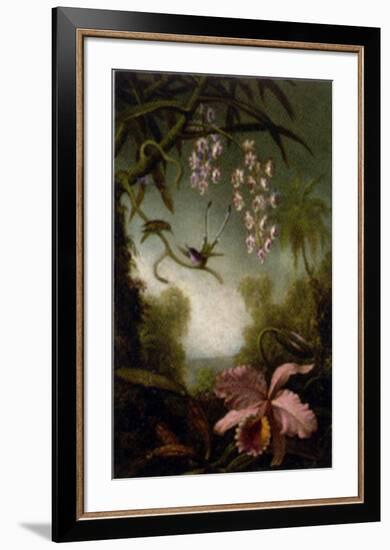 Orchids and Spray Orchids with Hummingbirds-Martin Johnson Heade-Framed Art Print