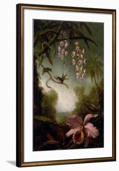 Orchids and Spray Orchids with Hummingbirds-Martin Johnson Heade-Framed Art Print