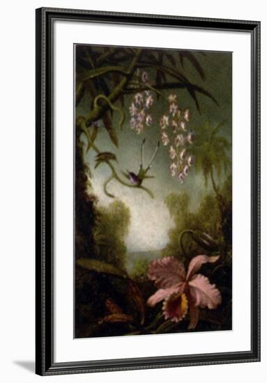 Orchids and Spray Orchids with Hummingbirds-Martin Johnson Heade-Framed Art Print