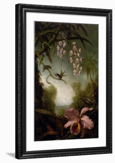 Orchids and Spray Orchids with Hummingbirds-Martin Johnson Heade-Framed Art Print