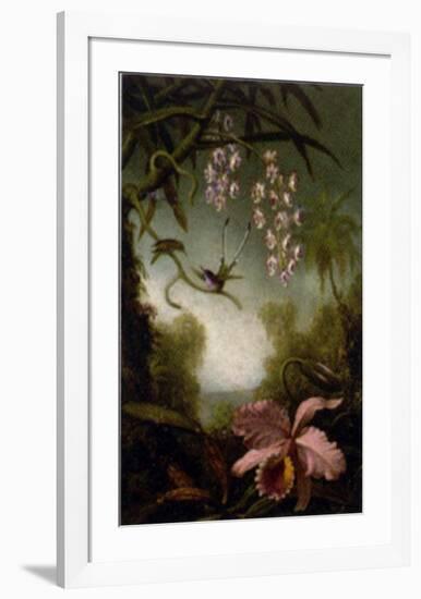 Orchids and Spray Orchids with Hummingbirds-Martin Johnson Heade-Framed Art Print