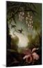 Orchids and Spray Orchids with Hummingbirds-Martin Johnson Heade-Mounted Art Print