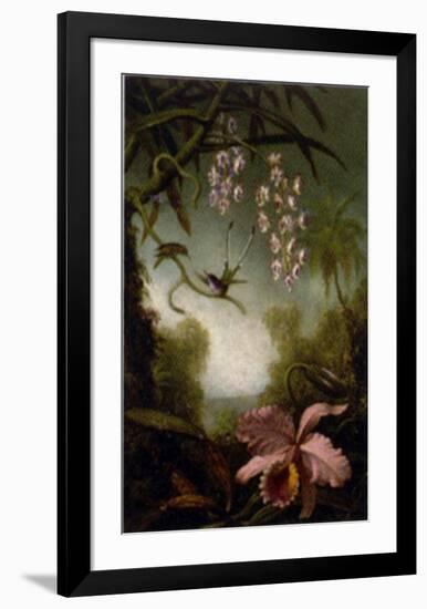 Orchids and Spray Orchids with Hummingbirds-Martin Johnson Heade-Framed Art Print