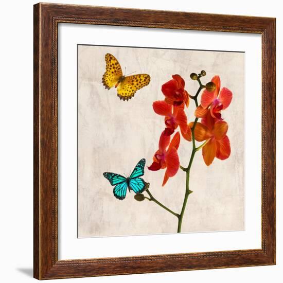 Orchids & Butterflies II-Teo Rizzardi-Framed Art Print