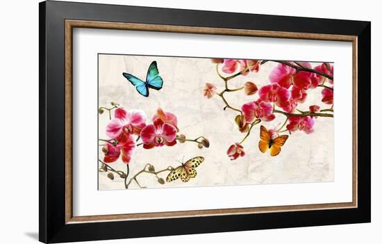 Orchids & Butterflies-Teo Rizzardi-Framed Art Print