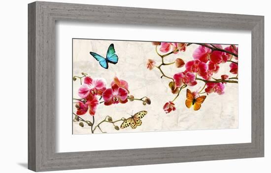 Orchids & Butterflies-Teo Rizzardi-Framed Art Print