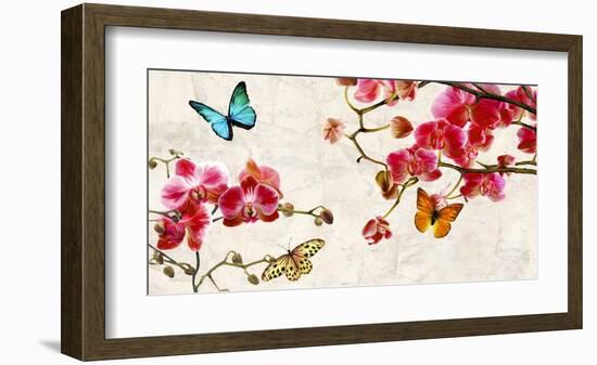 Orchids & Butterflies-Teo Rizzardi-Framed Art Print
