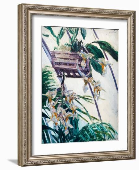 Orchids, C. 1893 (Oil on Canvas)-Gustave Caillebotte-Framed Giclee Print