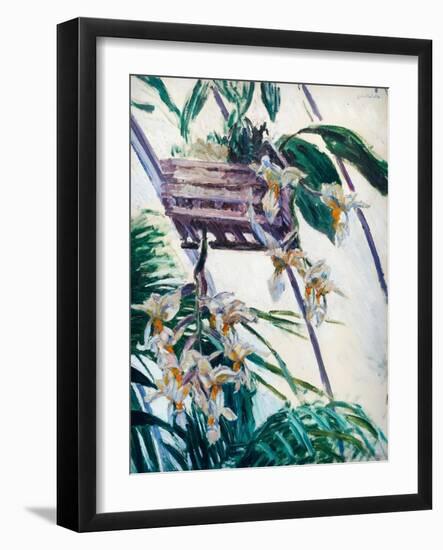 Orchids, C. 1893 (Oil on Canvas)-Gustave Caillebotte-Framed Giclee Print