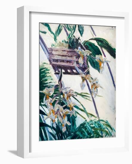 Orchids, C. 1893 (Oil on Canvas)-Gustave Caillebotte-Framed Giclee Print