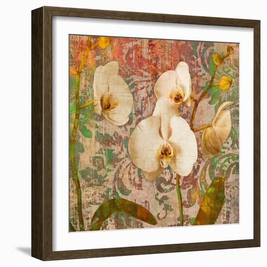 Orchids Crackle-Tania Bello-Framed Giclee Print