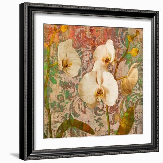 Orchids Crackle-Tania Bello-Framed Giclee Print