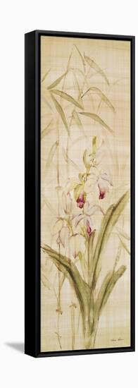 Orchids II-Cheri Blum-Framed Stretched Canvas