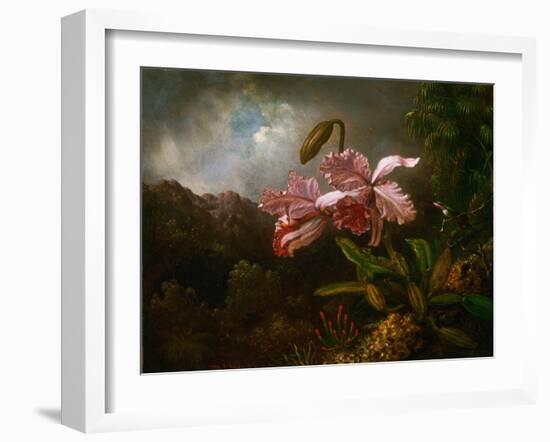 Orchids in a Jungle, 1870S (Oil on Canvas)-Martin Johnson Heade-Framed Giclee Print