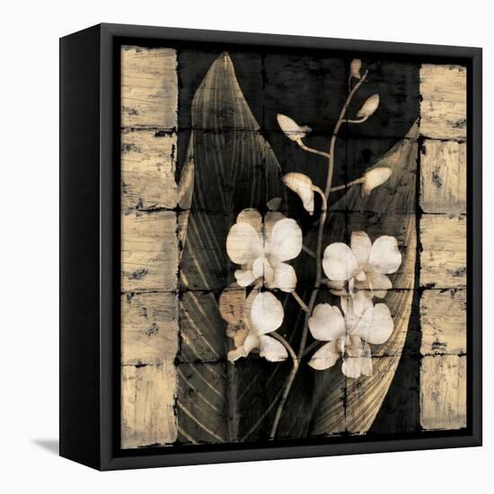 Orchids in Bloom I-John Seba-Framed Stretched Canvas