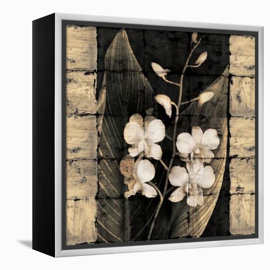 Orchids in Bloom I-John Seba-Framed Stretched Canvas