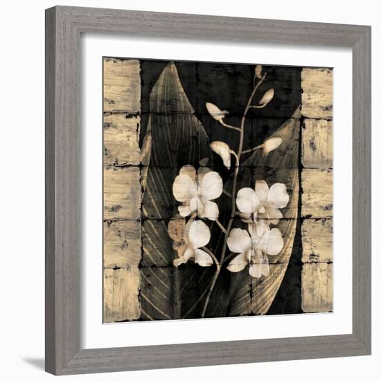 Orchids in Bloom I-John Seba-Framed Art Print