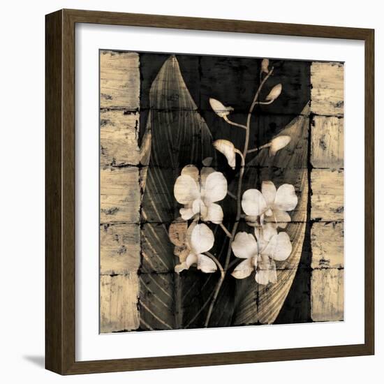 Orchids in Bloom I-John Seba-Framed Art Print