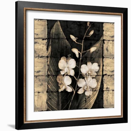 Orchids in Bloom I-John Seba-Framed Art Print