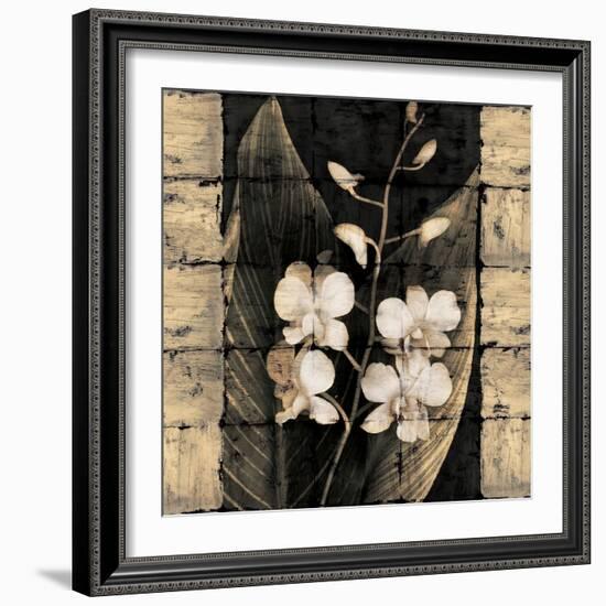 Orchids in Bloom I-John Seba-Framed Art Print