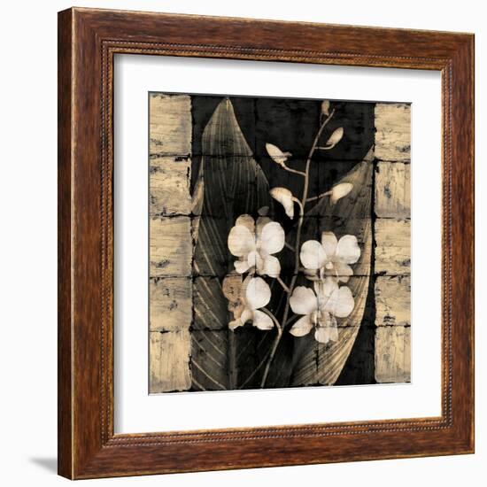 Orchids in Bloom I-John Seba-Framed Art Print