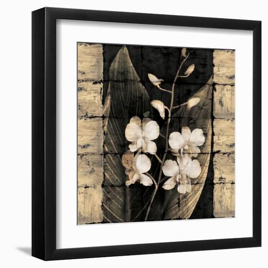 Orchids in Bloom I-John Seba-Framed Art Print