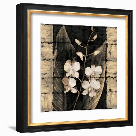 Orchids in Bloom I-John Seba-Framed Art Print